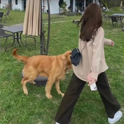 正午的高潮